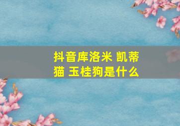 抖音库洛米 凯蒂猫 玉桂狗是什么